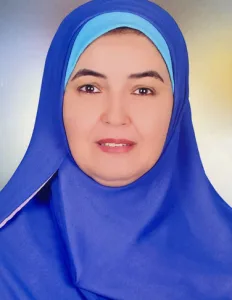 Amoura Soliman Mohammed Behairy