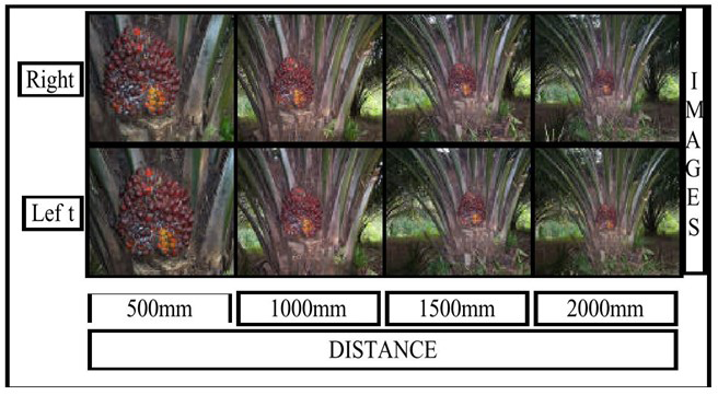 Figure 1: Four pair series of stereo image [12].