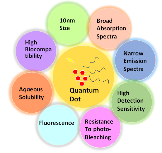 Figure 1: Quantum dot physical and biochemical properties.