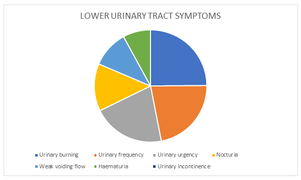 Figure 1: distribution od lower urinary tract symptoms reported by patients enrolled in ths study protocol.
