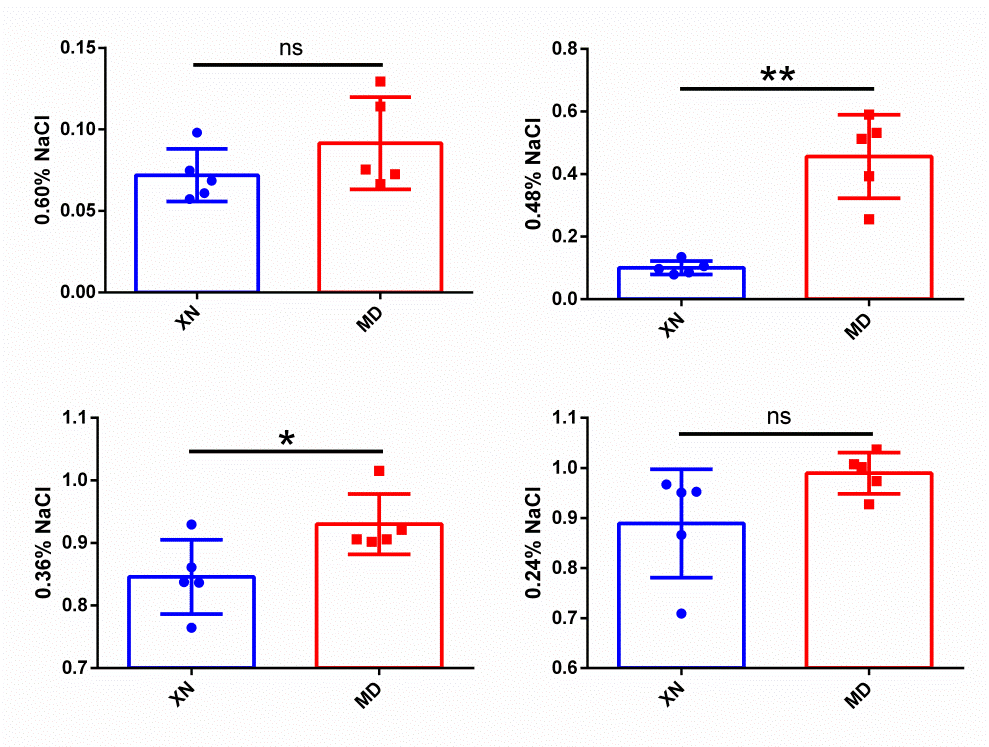 Figure 9: Xining-XN; Maduo-MD Comparison of the osmotic fragility of peripheral blood in different concentrations of NaCl salt solution.