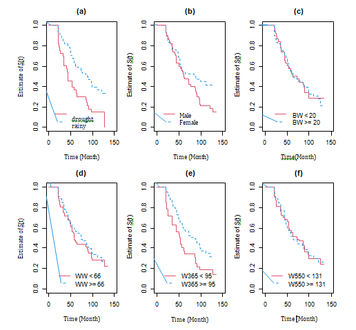 Figure 2: Survival curves estimated by the Kaplan-Meier method for possible covariates: Season of Birth (a), Sex (b), Weight at Birth (c), Weaning (d), at 365 days (e) and at 550 days (f) of Curraleiro Pé Duro cattle.