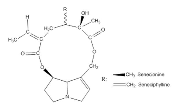 Figure 1: PAs from F. flexuosa.
