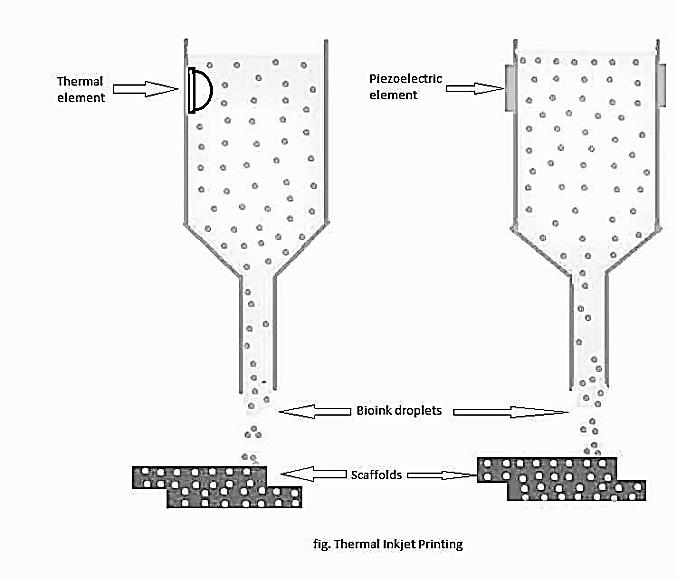 Figure 3: Fused Deposition Model.