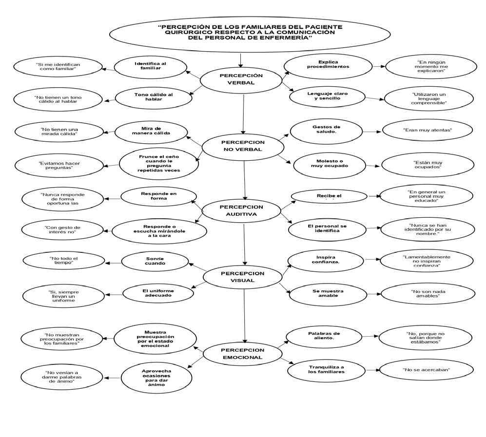 Figure 1: Perception of surgical patient’s relatives regarding nursing staff communication. Source: Interview Prepared by: Researchers.