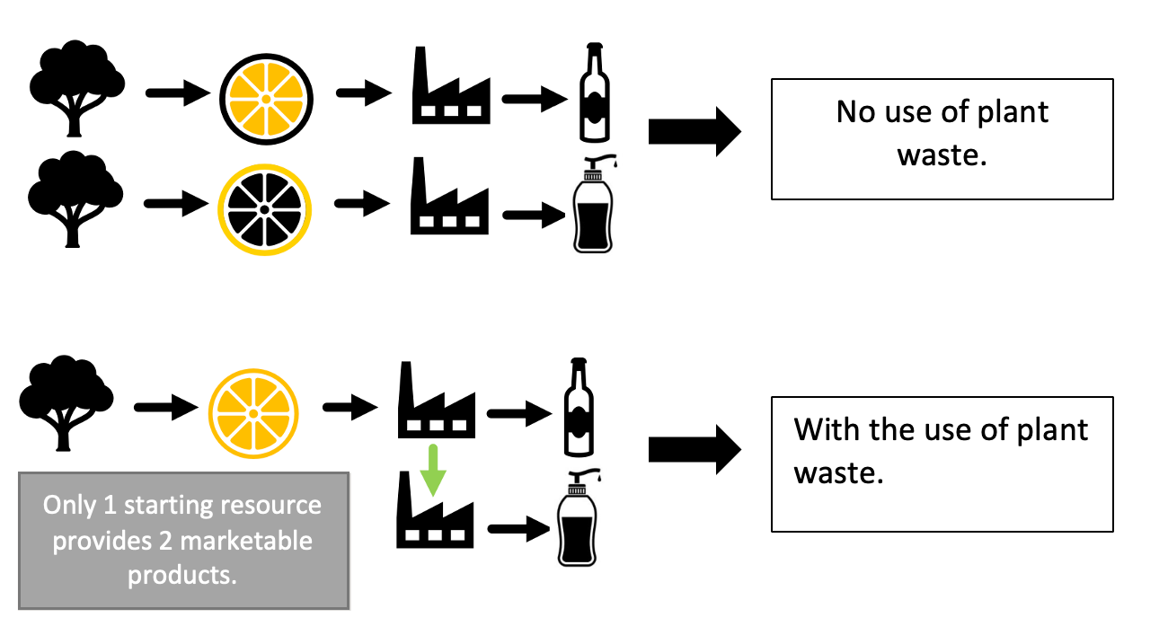 Figure 1: Changing the way of perceiving the ways of obtaining raw materials will introduce them into the economic, global circulation [1].