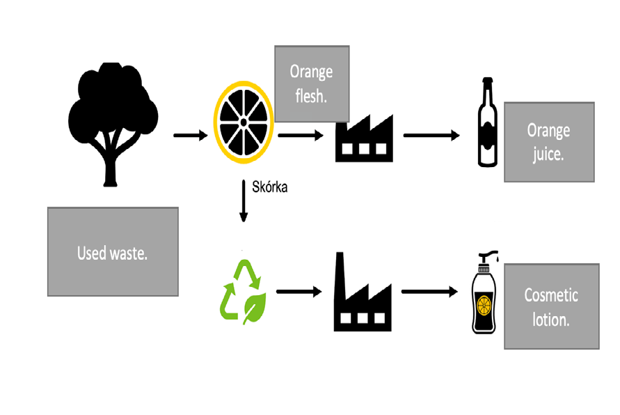 Figure 4: Changing the way of perceiving the ways of obtaining raw materials will introduce them into the economic, global circulation [6].