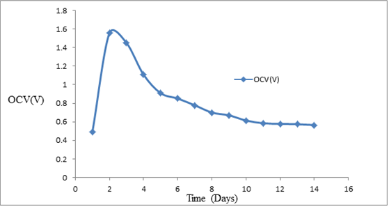 Figure 4: It is seen that on the 2nd day MFC gives a maximum value of OCV i.e. 1.557 V and after that it decreases almost continuously because of decline in microbial population. On the 14th day it goes down to 565 mV.
