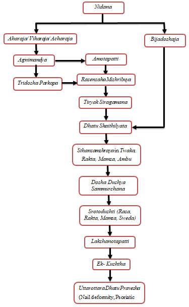 Figure 1: Schematic representation of Kushtha Samprapti.