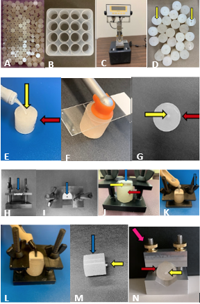 Figure 1: Preparation of the one-hundred-fifty specimens.