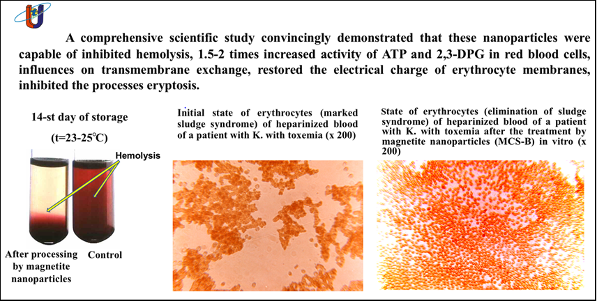 Figure 2: Effect of biocompatible magnetite nanoparticles on functional status of erythrocytes and hemorheology.