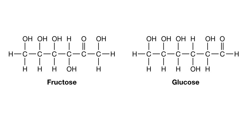 Figure 1: Two of the most important simple sugars which they are isomer.