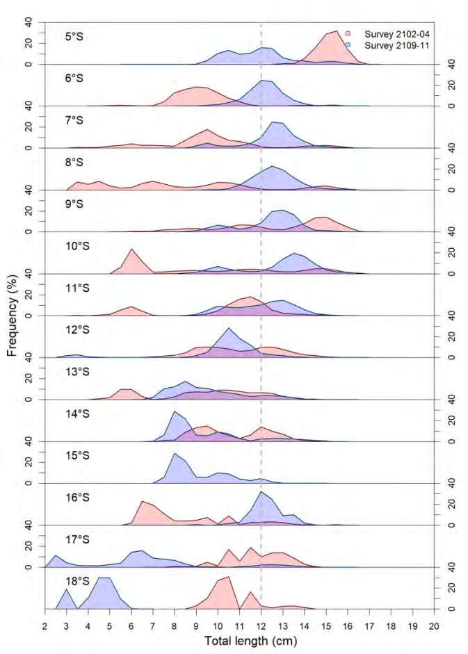 Figure 5: Anchoveta size structure by degree of latitude observed in 2021 hydroacoustic surveys.