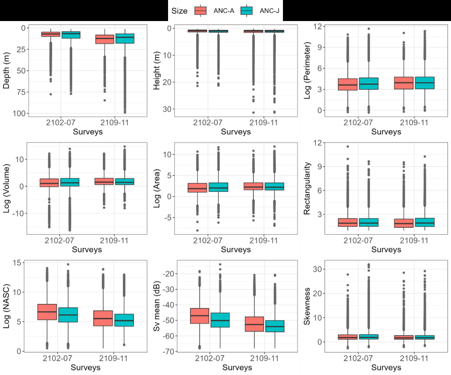 Figure 6: Box diagrams of the acoustic descriptors of adult and juvenile anchoveta schools of surveys made in 2021. In the descriptors: perimeter, volume, area and NASC, logarithms were applied due to the wide range of their values.