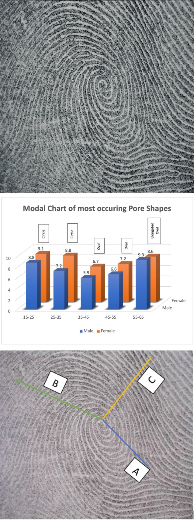 Figure 2: Pores Present Near the Core.
