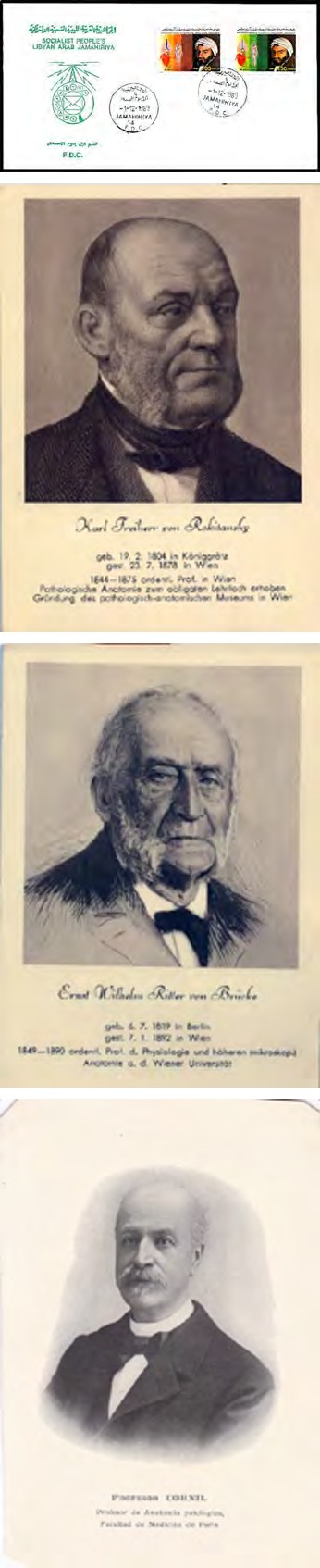 Figure 1: A selection of philatelic and philocratic materials devoted to anatomy and a number of famous anatomists.