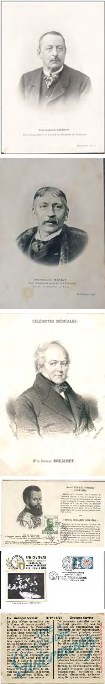 Figure 2: A selection of postcards showing anatomical theaters, museums, and institutes in several countries of the world.