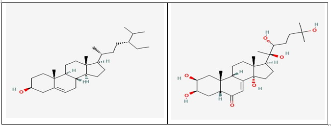 Figure 3: ** a) Beta – Sitosterol, b) Ecdysterone**.**