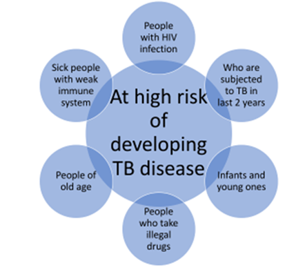 Figure 1: Groups at High Risk for Developing TB Disease.