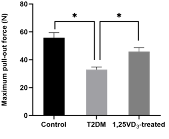 Figure 4: 1,25VD3 increased biomechanical index of T2DM rats. Results of pull-out test, n = 5 specimens/group, *P < 0.05, data are presented as mean ± SD.