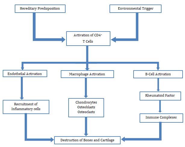 Figure 1: Flow chart of Pathophysiology.