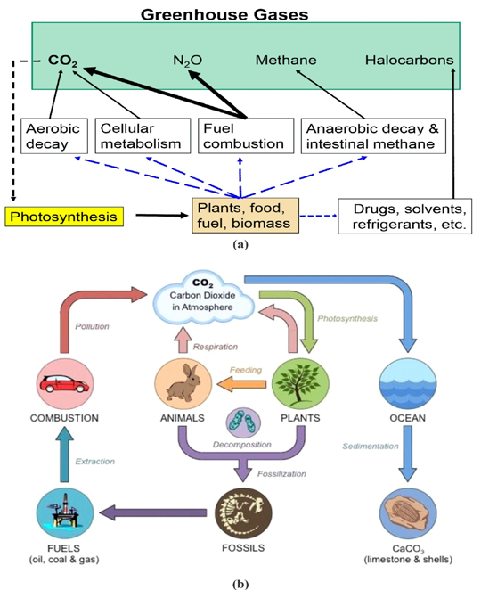 Figure 20: Presents the major human activities that constitute greenhouse gas cycle [43, 55].