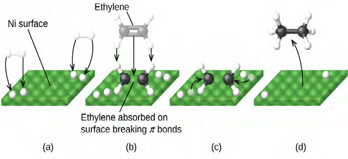 Figure 27: The four steps in the catalysis of the reaction C2H4+H2⟶C2H6 by nickel [67].