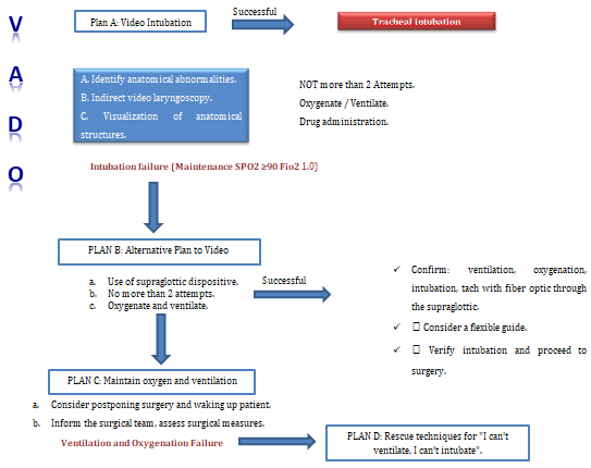 Figure 2: VADO: Oncological Difficult Airway Algorithm.