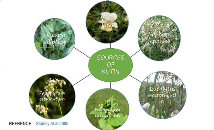 Figure 1: Sources of Rutin.