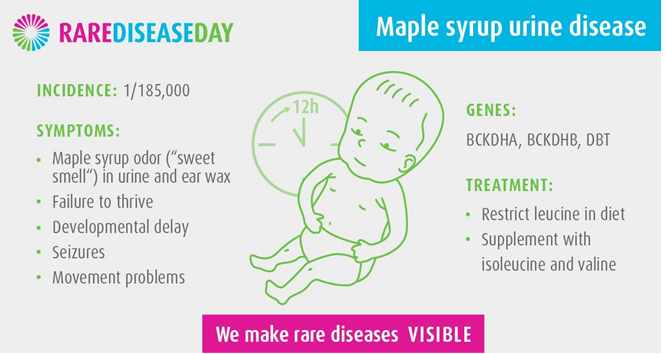 Figure 10: Maple Syrup Urine Disease (MSUD).