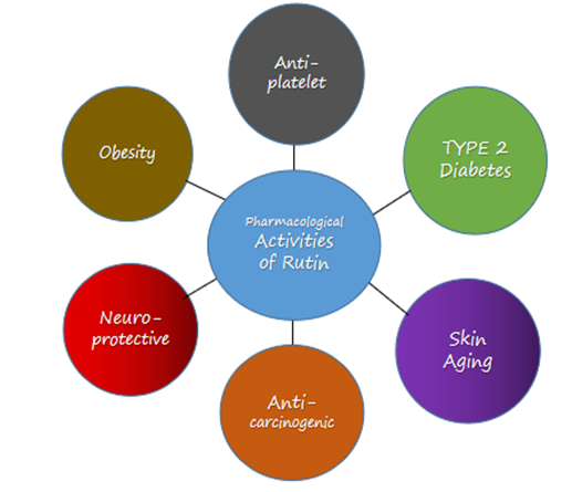 Figure 11: Pharmacological activities of Rutin.