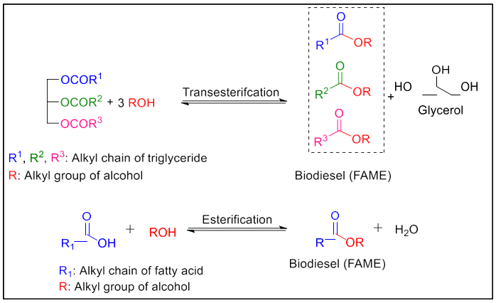 Figure 1: Biodiesel production via transesterification and esterification.