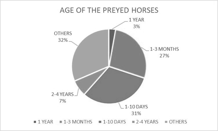 Figure 3: Age of the preyed horses.