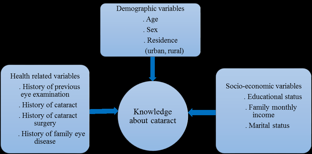 Figure 1: Conceptual framework on knowledge and associated factors about cataract among adults in Kombolcha City, Northeast Ethiopia.