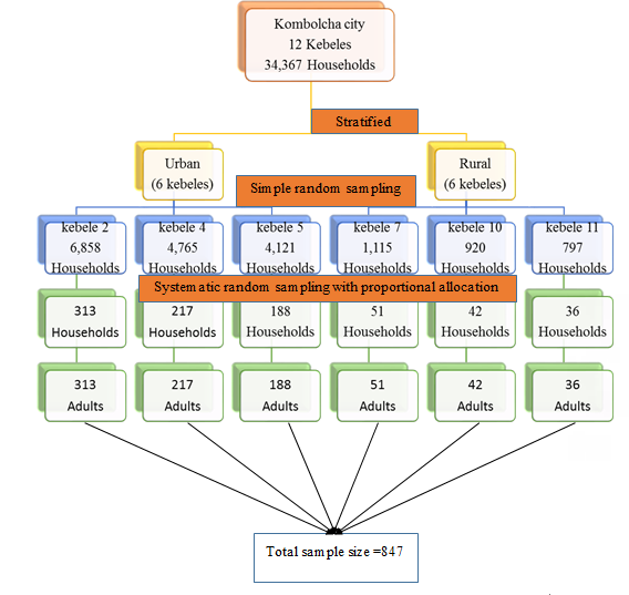 Figure 2: Schematic representation of sampling procedure for knowledge and associated factors about cataract in Kombolcha City, Northeast Ethiopia.
