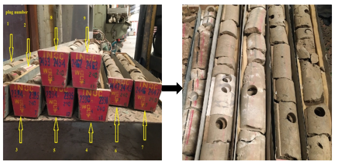 Figure 3: Photography of rock core acquired from Mishrif formation.