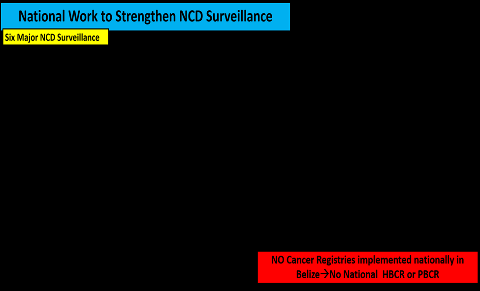 Figure 6: Conceptual Model Summarizing the NCD Surveillance in Belize.