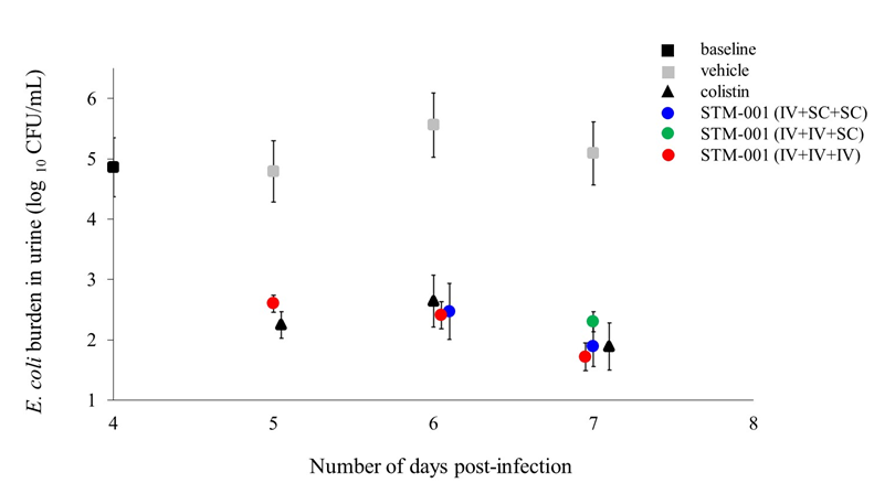 Figure 1: Therapeutic effects of IV or SC BID STM-001 (50 mg/kg) on urinary bacterial burden in a mouse model of cUTI administered during days 4-6 post-infection. Following the transurethral inoculation of 60 mice with _NDM-1_ _E. coli_, infection was allowed to proceed for 4 days. On day 4, 1 group of 10 mice (Group 1) were sacrificed to determine baseline urinary infection (and also tissues, see below). A further 10 mice were treated from days 4-6 with vehicle (Group 2) and 10 mice (Group 3) with SC colistin (20 mg/kg). The 30 remaining mice were the basis for three (3) different STM-001 treatment groups corresponding to treatment days 4-6 as follows: IV+SC+SC (Group 4); IV+IV+SC (Group 5); IV+IV+IV (Group 6). The entire experiment was terminated on day 7. Data for each experimental arm shows the mean (± SEM) log10 urinary bacterial burden (CFU/ml at days 4-7 post-infection). Significance was determined one-way ANOVA and Dunnett’s test by comparing all drug treatment groups to vehicle. (p < 0.05 for all treatment groups).