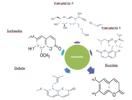 Figure 3: Pharmacologically active coumarin compounds.
