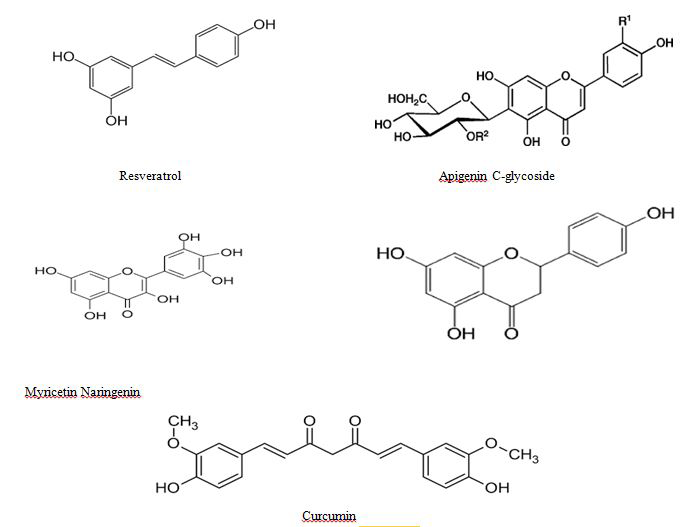 Figure 4: Polyphenols compounds.