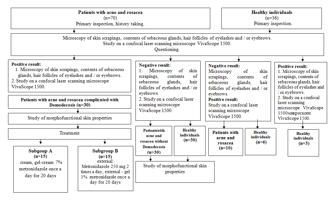 Figure 1: Study design.