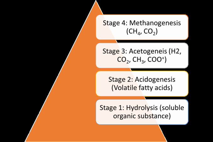 Figure 3: Schematic representation of the various steps involved in methane production.