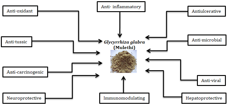Figure 2: Chemical structure of _G. glabra._ About thirty species make up the rosid dicot genus (Fabaceae), including G. glabra, G. uralensis, G. inflata, G. aspera, G. korshinskyi, and G. eurycarpa. Due to mutualism with bacteria-related microorganisms at the root level, G. glabra, like other plants in the family Leguminosae, is able to repair chemical elements, though it prefers wet soils. It is suitable for both sandy and clay soils. The most frequently used components are the roots, whereas leaves are regarded as agrochemical waste. The most important industrial application of G. glabra is the manufacture of food additives, such as flavours and sweeteners [8]. Particularly, the foundation is used as an ingredient agent for American- style food, ice cream, candies, tobacco, and chewing gum [9]. The foundation extracts are used as foaming agents in beers and fire extinguishers, while the foundation fibres are used in insulation, wallboard, and boxboard after the healthy and ingredient components have been removed. G. glabra is designated as a skin-coloring agent in the cosmetics industry and is used for that purpose in topical products. The U.S. Food and Drug Administration, the Council of Europe, and the Joint FAO/WHO Expert Committee on Food Additives have all given their seals of approval for the use of liquorice extract and glycyrrhizin in foods (WHO, 2005). In fact, it has been acknowledged as generally safe by the U.S. Flavor and Extract makers Association. To the best of our knowledge, there aren’t many reviews of this plant, especially when it comes to pharmacologic aspects [10]. The goal of this review was to examine G. glabra’s bioactive compounds and the consequent biological activities associated with these compounds.
