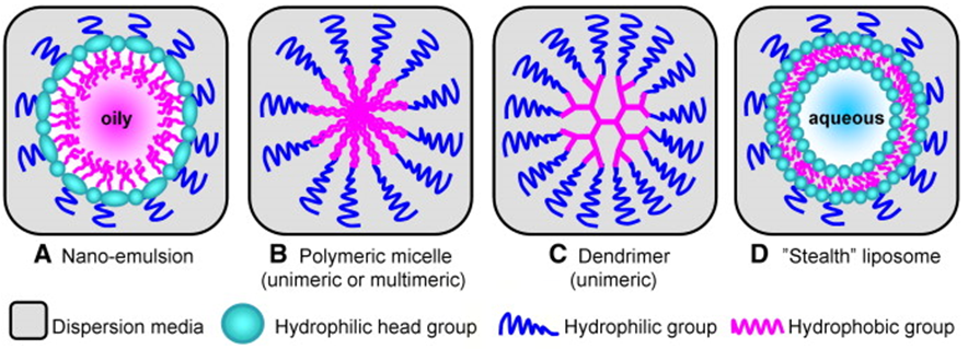 Figure 3: Liposomes are composite structures made of phospholipids and may contain small amounts of other molecules.