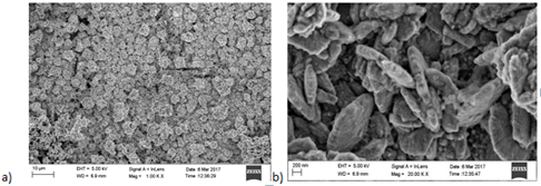 Figure 7: AFM images of CoCu granular thin films alloys after the films deposition grown at Ed = -1.05 V for Co and Ed = - 0.85V for Cu.