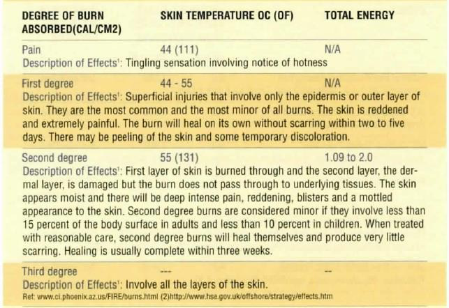 Figure 11: Symptoms and Quantitative Descriptions of Various Degrees of Skin Burn.