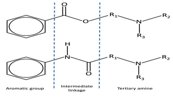 Figure 1: The intermediary link categorises local anaesthetics into esters or amides Table 1 [7]. For example, increasing the length of carbon chains attached to either the aromatic ring, amide linkage or the tertiary amine offers higher lipid solubility, potency and increased duration of action.