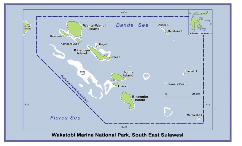 Figure 1: Research Location in Wangi-Wangi Island Waters, Wakatobi Regency.
