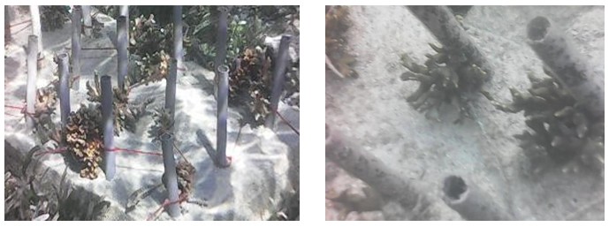Figure 5: Propagation with Paralon Concrete.