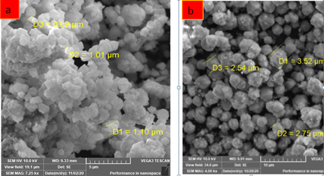 Figure 2: SEM images of 13X without silver doping (a) and after silver doping (b).